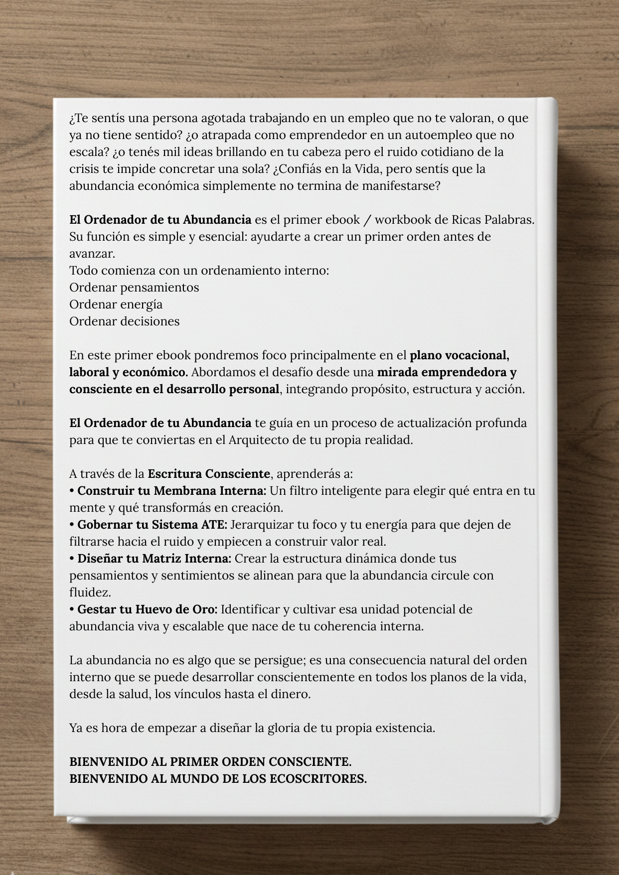 El Ordenador de tu Abundancia (Ebook + Workbook)